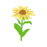 Illustration Wedding Illustration Wedding