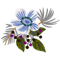 Illustration Wedding Illustration Wedding