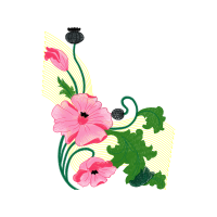 Illustration Wedding