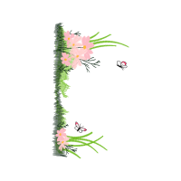 Illustration Wedding