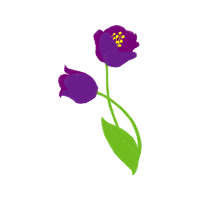 Illustration Wedding Illustration Wedding