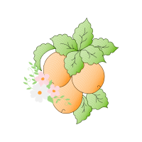 Illustration Wedding