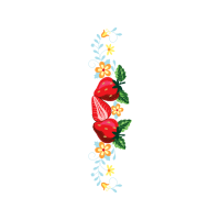 Illustration Wedding Illustration Wedding