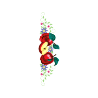 Illustration Wedding Illustration Wedding