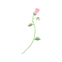 Illustration Wedding Illustration Wedding