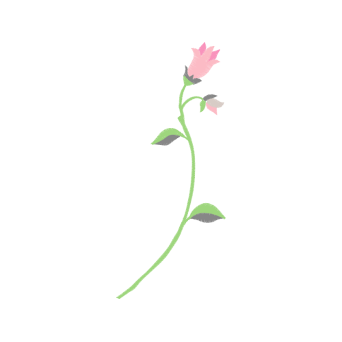 Illustration Wedding Illustration Wedding