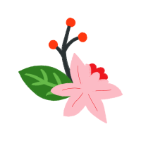 Illustration Wedding Illustration Wedding