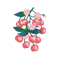 Illustration Wedding Illustration Wedding