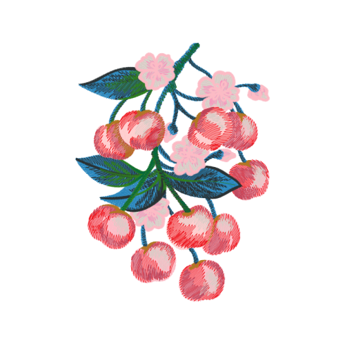 Illustration Wedding Illustration Wedding