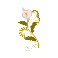 Illustration Wedding Illustration Wedding