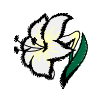 Illustration Wedding Illustration Wedding