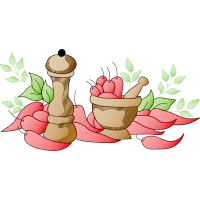 Illustration Wedding Illustration Wedding