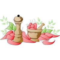 Illustration Wedding Illustration Wedding