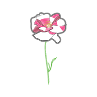 Illustration Wedding