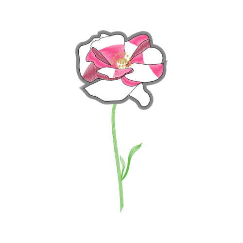 Illustration Wedding Illustration Wedding