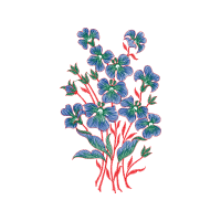 Illustration Wedding