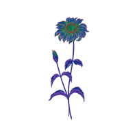 Illustration Wedding Illustration Wedding