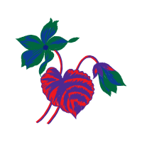 Illustration Wedding