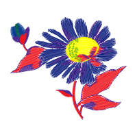 Illustration Wedding