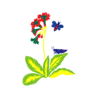 Illustration Wedding