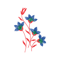 Illustration Wedding Illustration Wedding