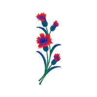 Illustration Wedding