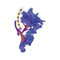 Illustration Wedding