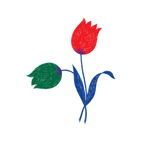 Illustration Wedding Illustration Wedding