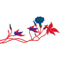 Illustration Wedding