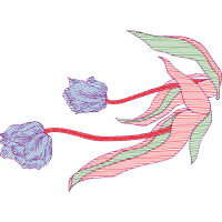 Illustration Wedding Illustration Wedding