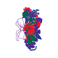 Illustration Wedding