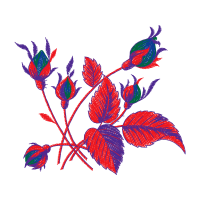 Illustration Wedding