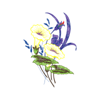 Illustration Wedding