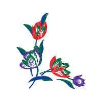 Illustration Wedding