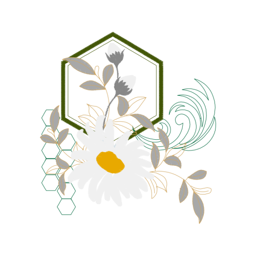 Illustration Wedding Illustration Wedding