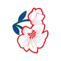 Illustration Wedding Illustration Wedding