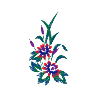 Illustration Wedding