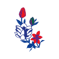 Illustration Wedding