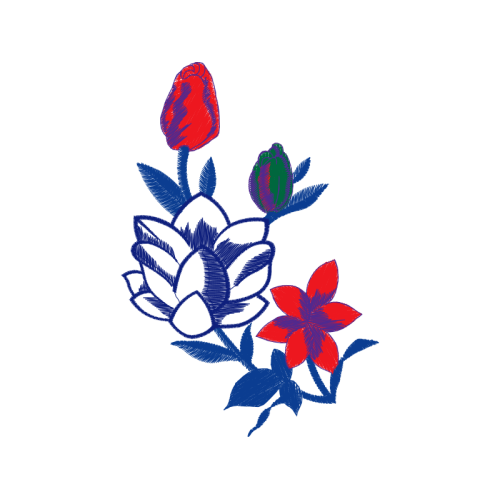 Illustration Wedding Illustration Wedding