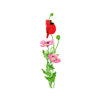 Illustration Wedding Illustration Wedding