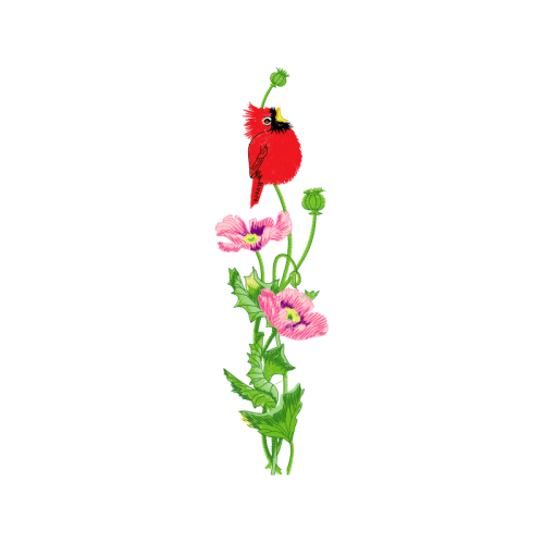 Illustration Wedding Illustration Wedding