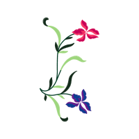 Illustration Wedding