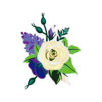 Illustration Wedding Illustration Wedding