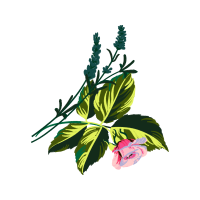 Illustration Wedding Illustration Wedding