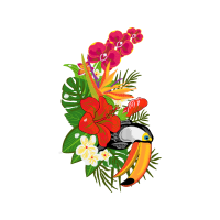 Illustration Wedding