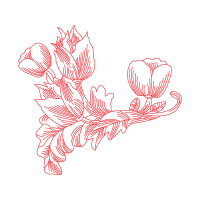 Illustration Wedding