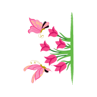 Illustration Wedding Illustration Wedding