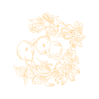 Illustration Wedding