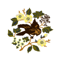 Illustration Wedding