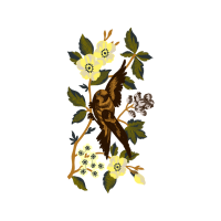 Illustration Wedding